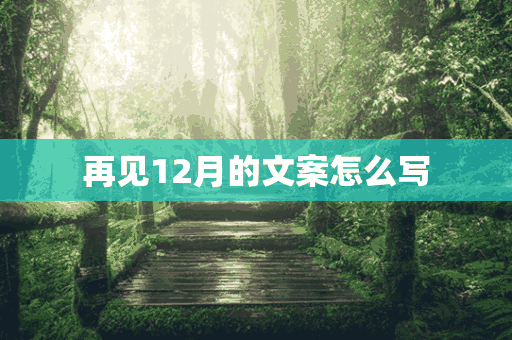 再见12月的文案怎么写